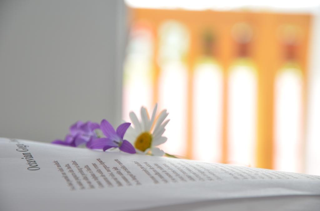 Pensiunea Poezii Alese Valea Drăganului Quarto foto